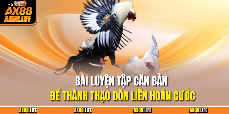 Bài luyện tập căn bản để thành thạo đòn liên hoàn cước