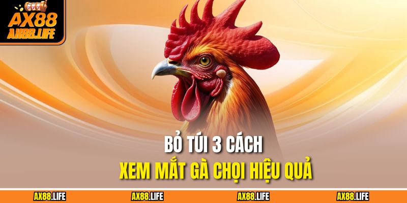 Bỏ túi 3 cách xem mắt gà chọi hiệu quả