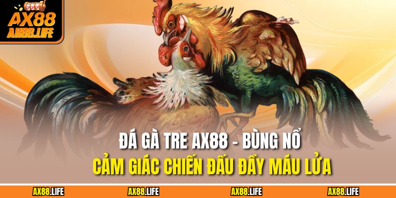 Đá Gà Tre AX88 – Bùng Nổ Cảm Giác Chiến Đấu Đầy Máu Lửa 5 Đá Gà Tre AX88