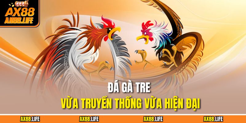 Đá gà tre vừa truyền thống vừa hiện đại