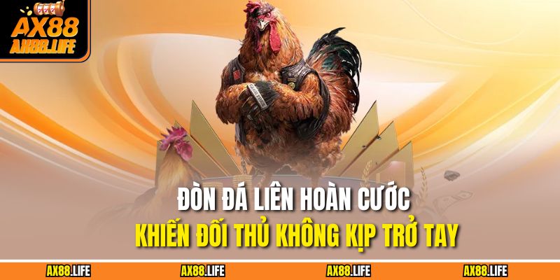 Đòn Đá Liên Hoàn Cước Khiến Đối Thủ Không Kịp Trở Tay 7 Đòn Đá Liên Hoàn