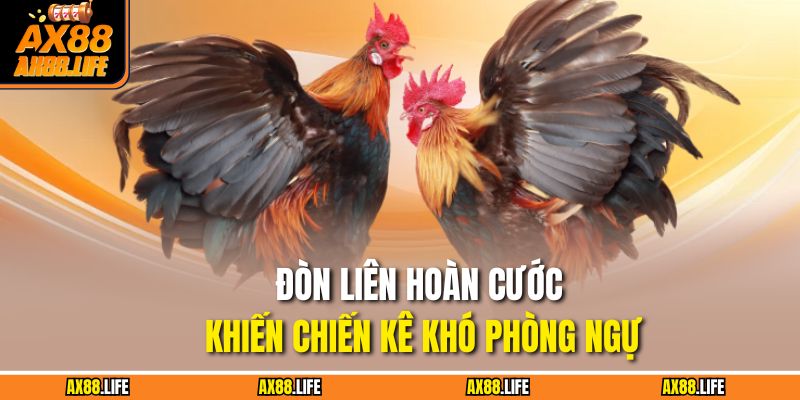 Đòn liên hoàn cước khiến chiến kê khó phòng ngự
