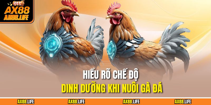 Hiểu rõ chế độ dinh dưỡng khi nuôi gà đá