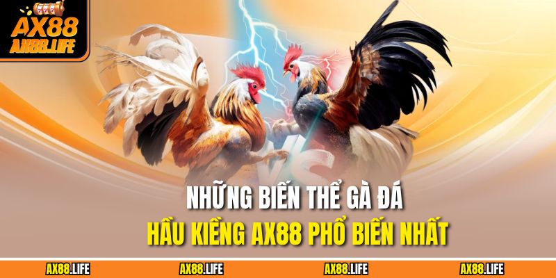 Những biến thể gà đá hầu kiềng AX88 phổ biến nhất
