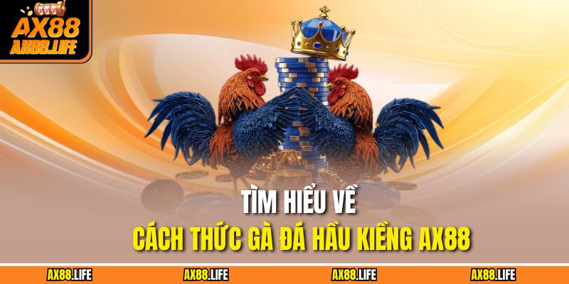 Tìm hiểu về cách thức gà đá hầu kiềng AX88