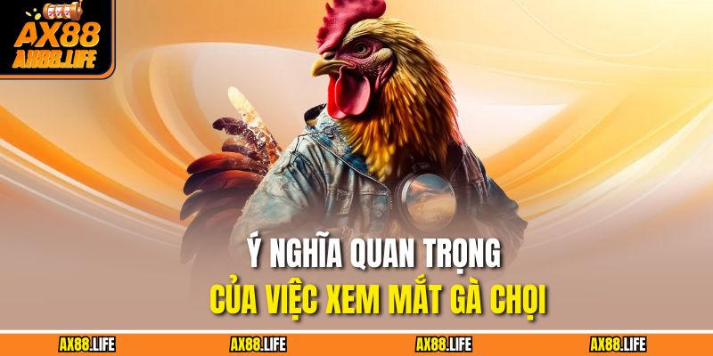 Ý nghĩa quan trọng của việc xem mắt gà chọi