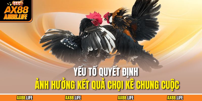 Yếu tố quyết định ảnh hưởng kết quả chọi kê chung cuộc